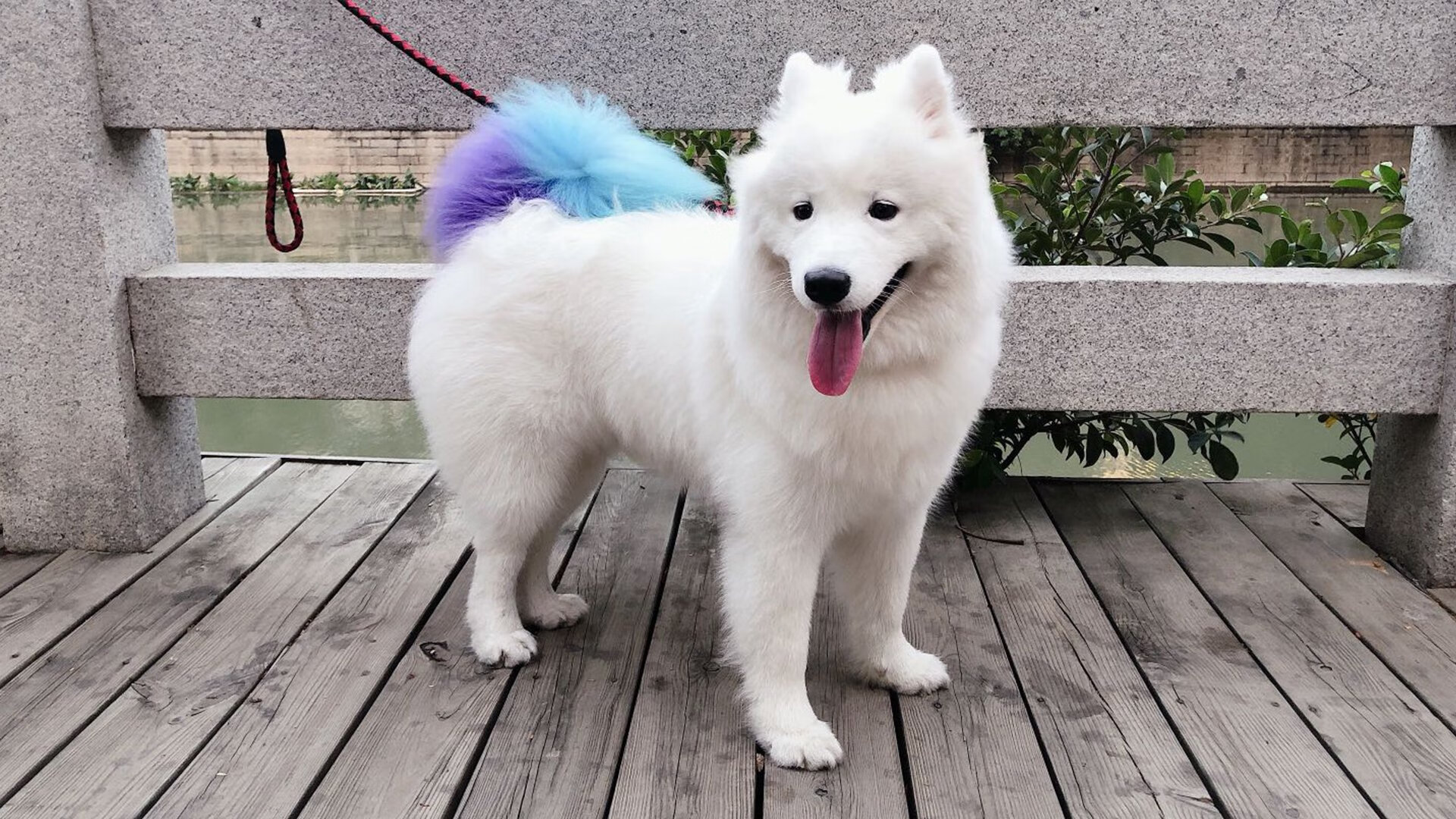 狂沙席卷极寒之地！新疆队火力全开，小贾伦连珠炮轰碎猛龙防线