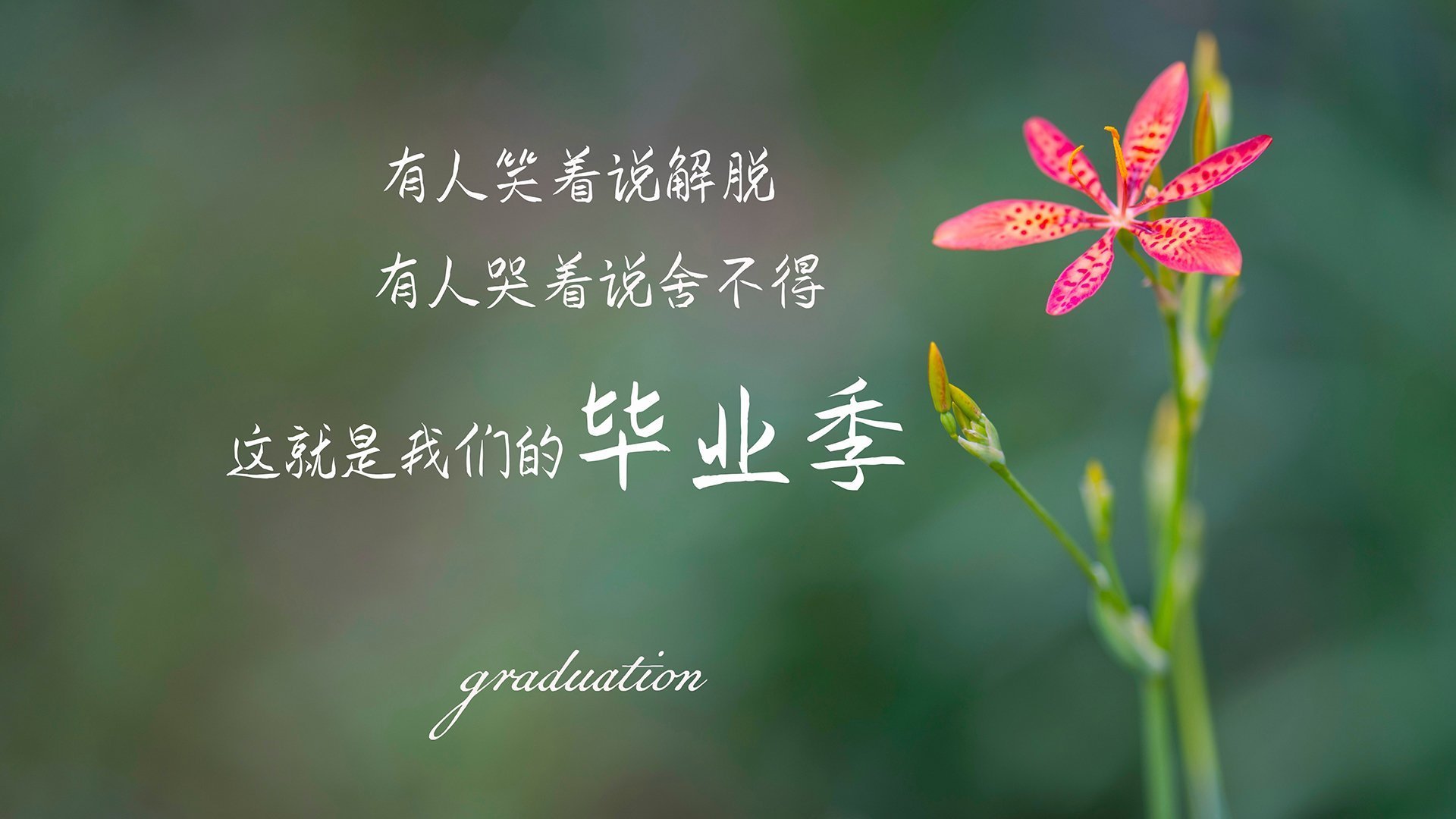 钢铁雄鹿加时险胜广厦，克莱年度封神之战接管全场