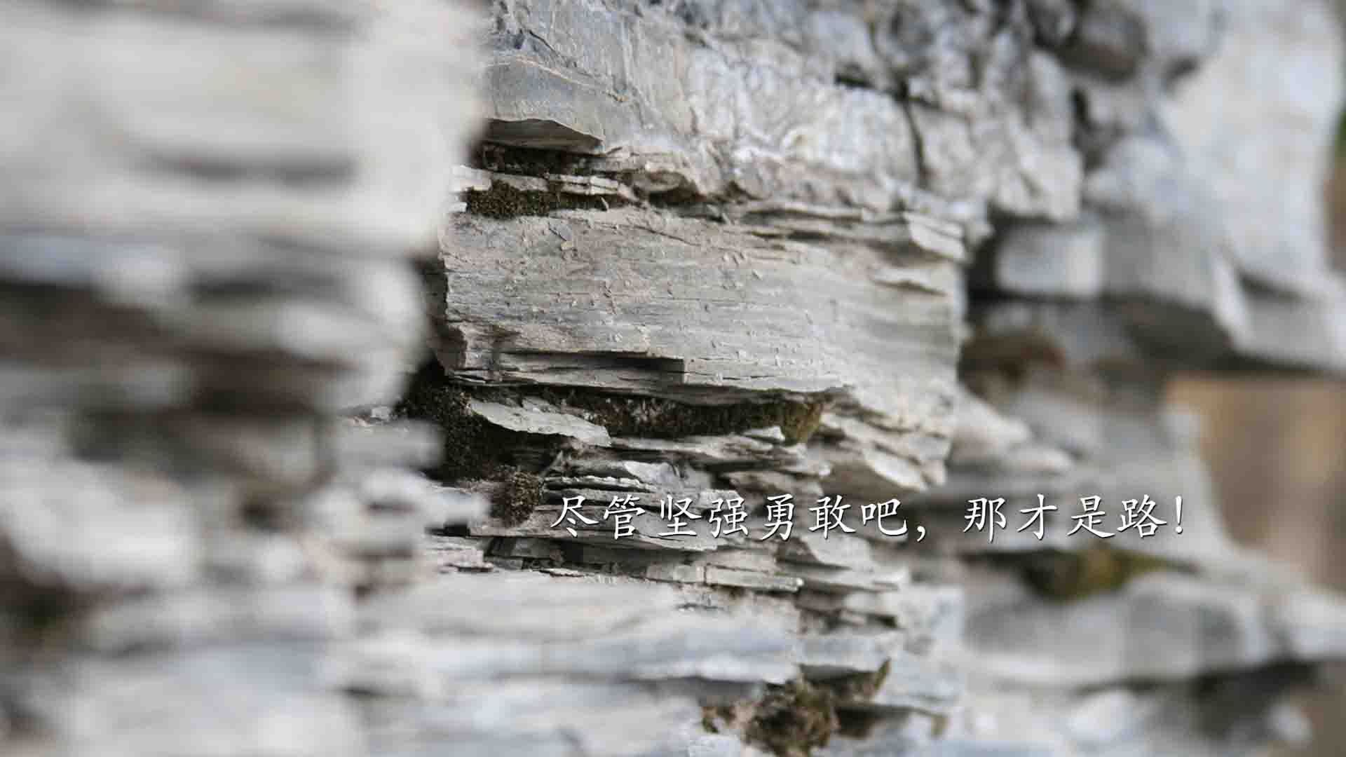 平民球队的逆袭与巨星的觉醒，当季后赛的叙事被重新定义