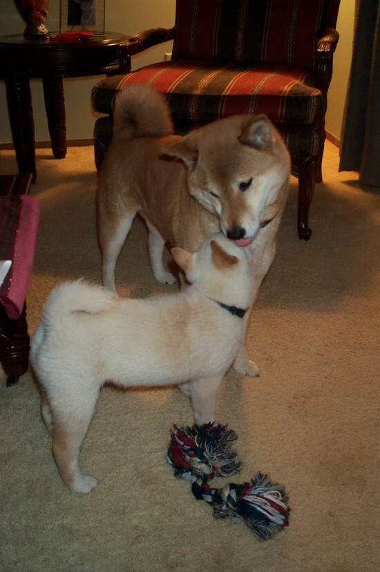 跨界鏖战与巨星接管,篮球世界的双重奏鸣