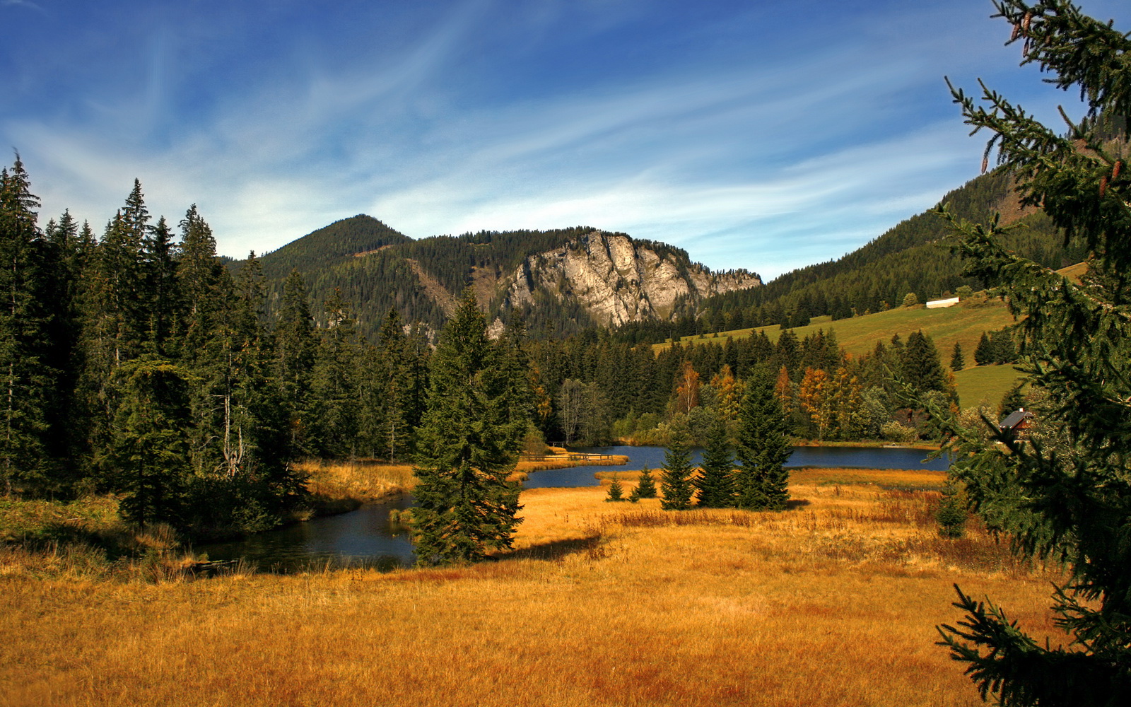 跨界鏖战与巨星接管,篮球世界的双重奏鸣