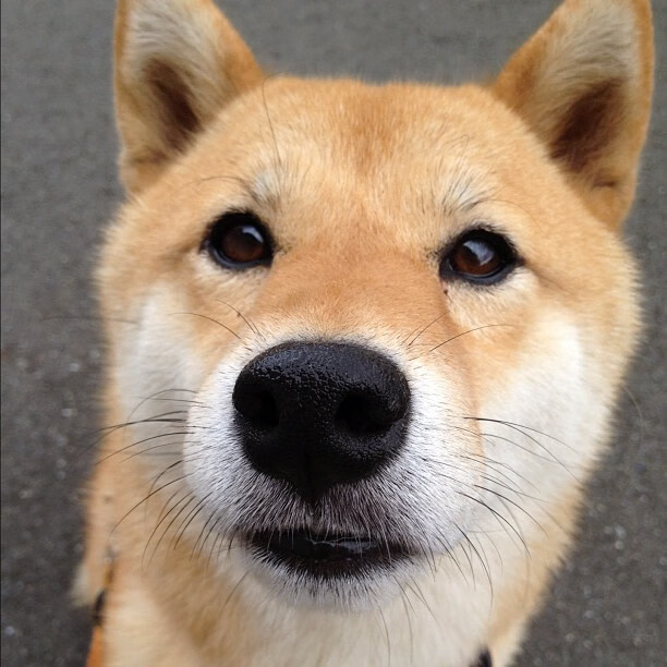 年度争冠之夜,乔治完美演绎,一手掌控比赛走势