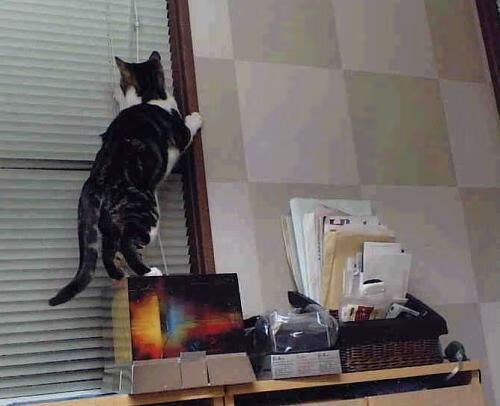 绿茵棋局，莫德里奇如何以节奏为刃，切割国际米兰的钢铁防线