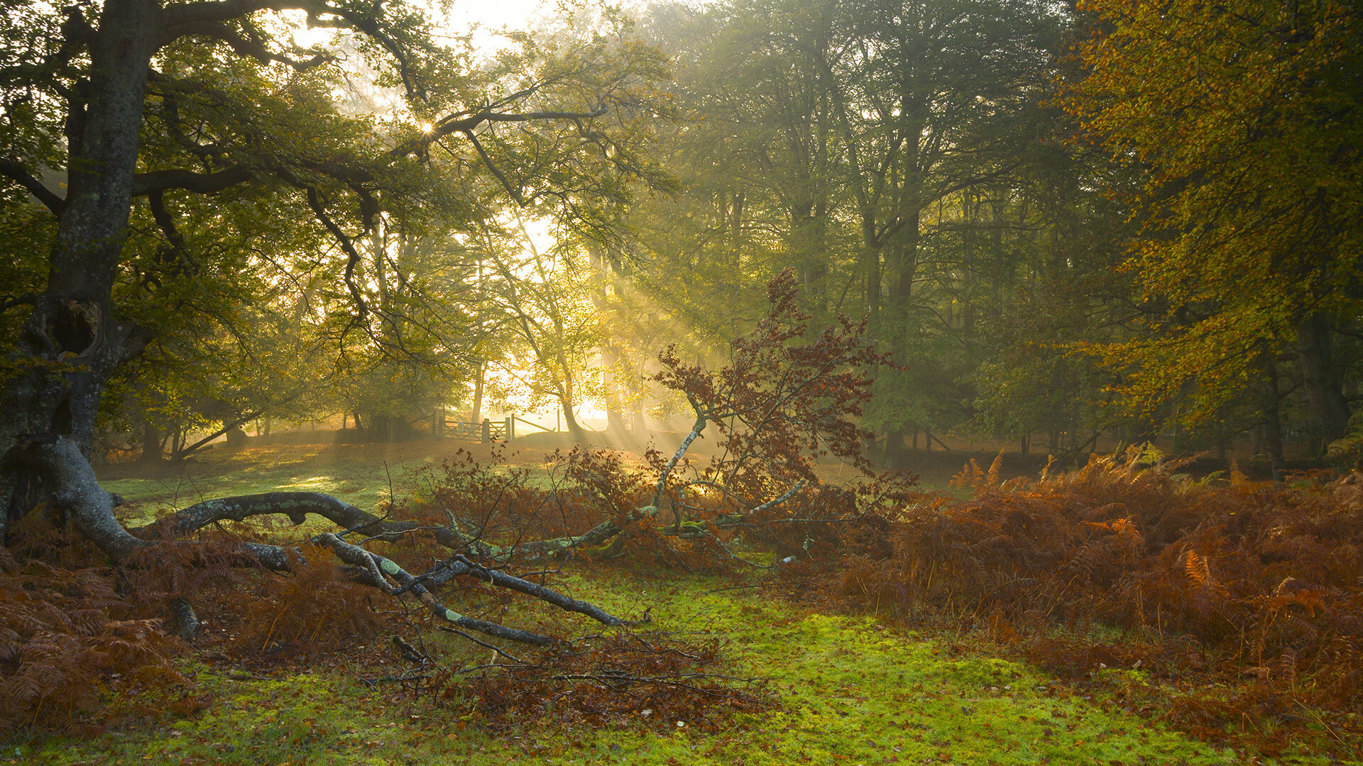 草根逆袭夜,步行者爆冷骑士,浓眉化身关键先生